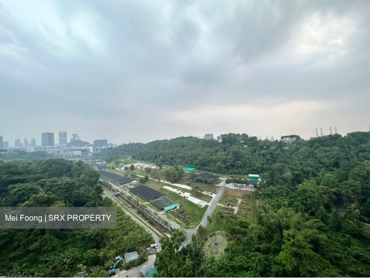 Normanton Park (D5), Apartment #461004141